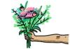 Copy of flowers