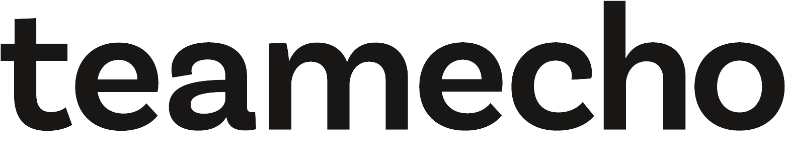 teamecho-Logo
